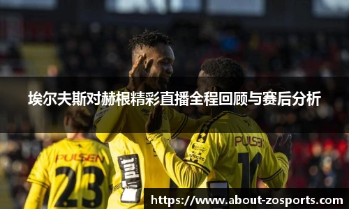 埃尔夫斯对赫根精彩直播全程回顾与赛后分析