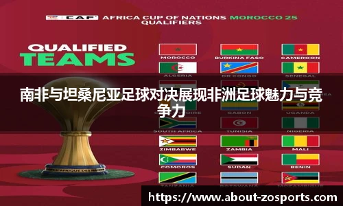 南非与坦桑尼亚足球对决展现非洲足球魅力与竞争力